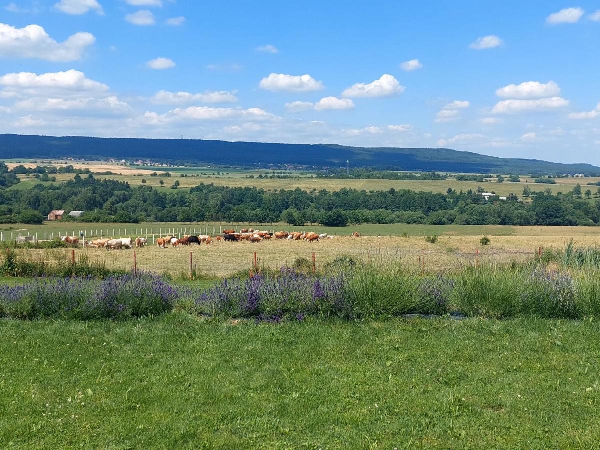 הוילה Příbram Panorama House Brdy מראה חיצוני תמונה